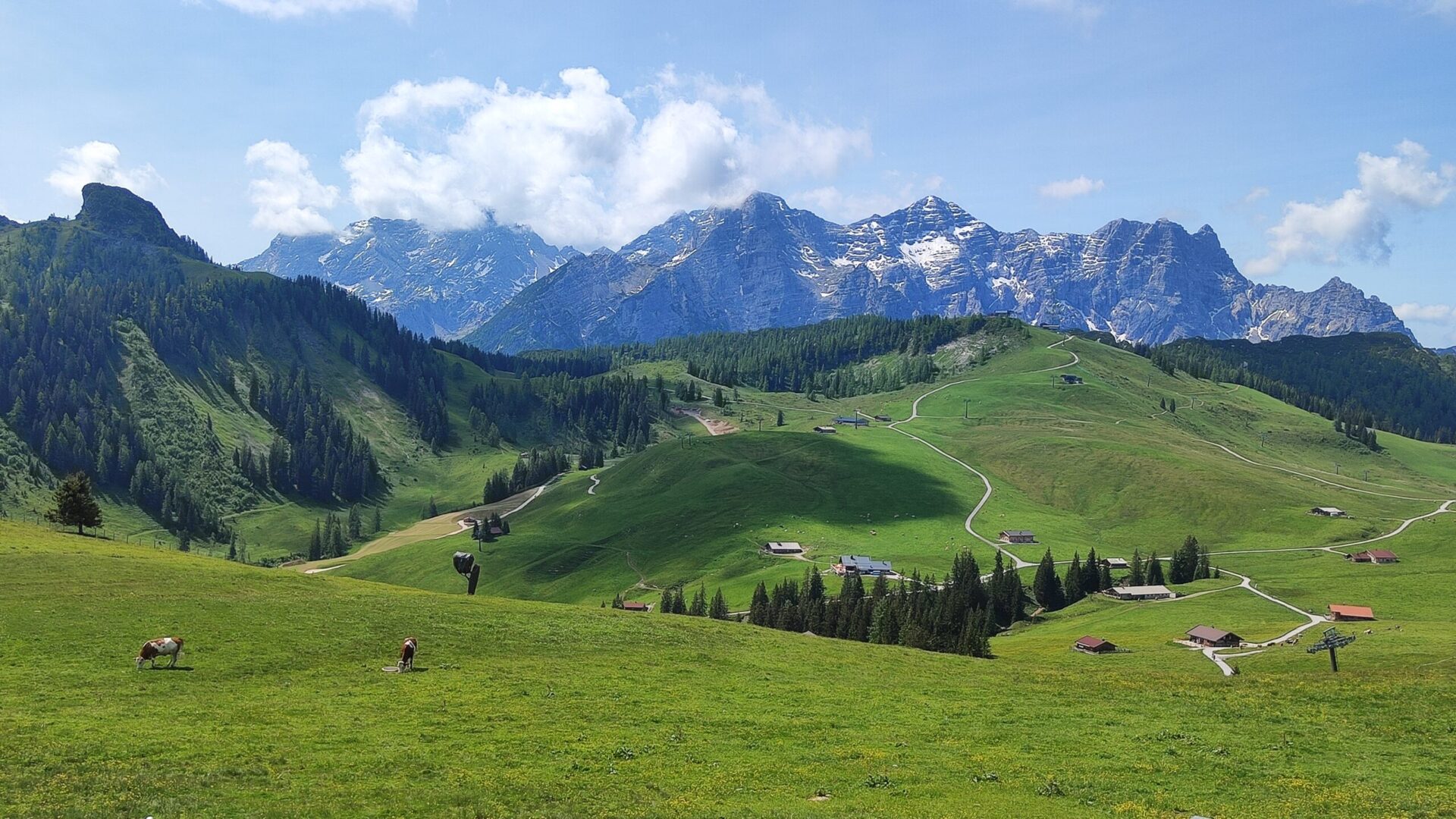 Saalachtal, Salzburg Tag 1, 5.6.2025